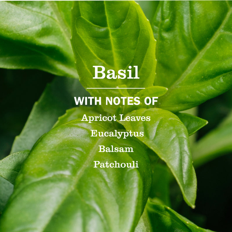 Mrs. Meyer's Basil Multi-Surface Everyday Cleaner