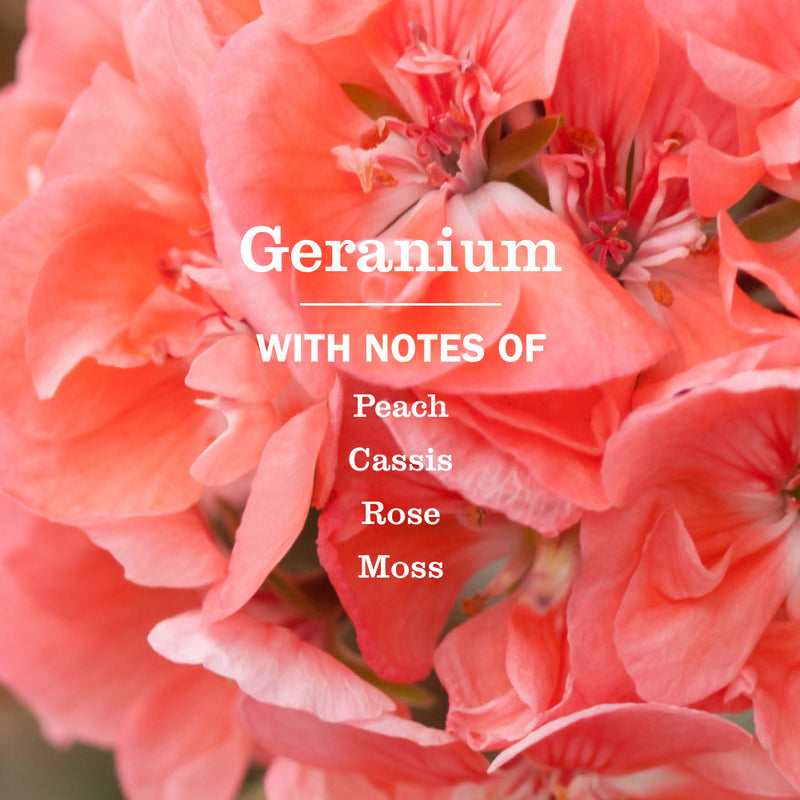 Geranium Liquid Hand Soap &amp; Refill Set