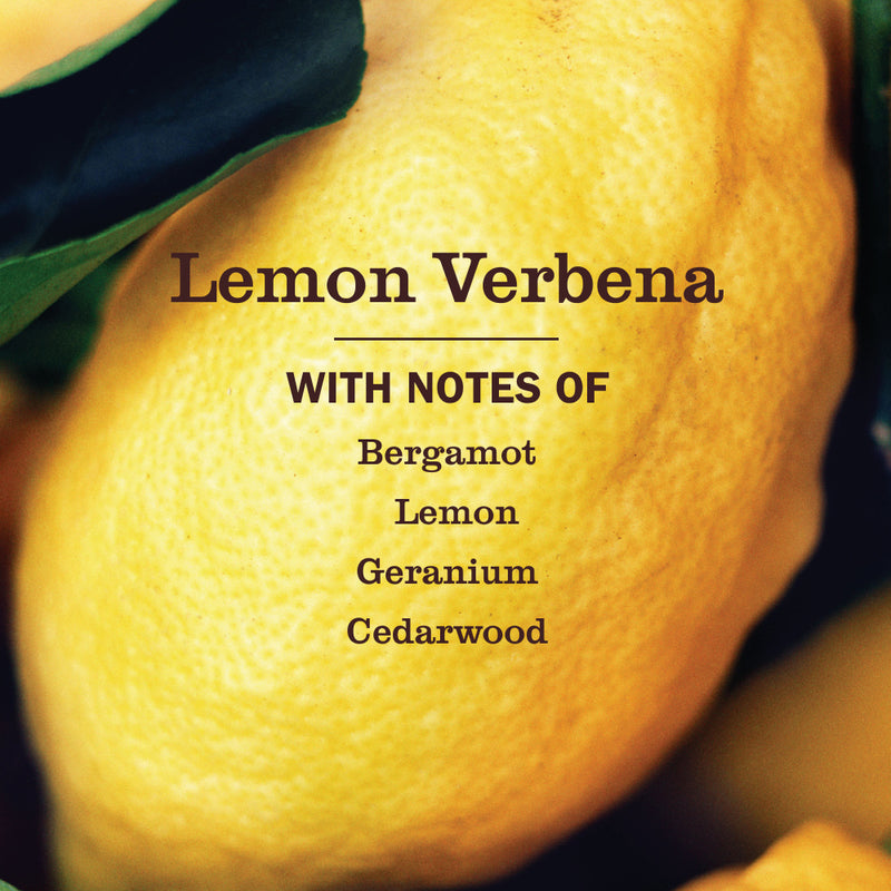 Mrs. Meyer's Lemon Verbena Glass Cleaner