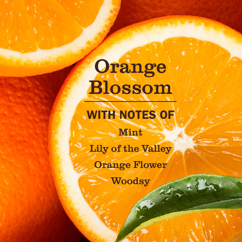Orange Blossom Pet Multi-Surface Cleaner