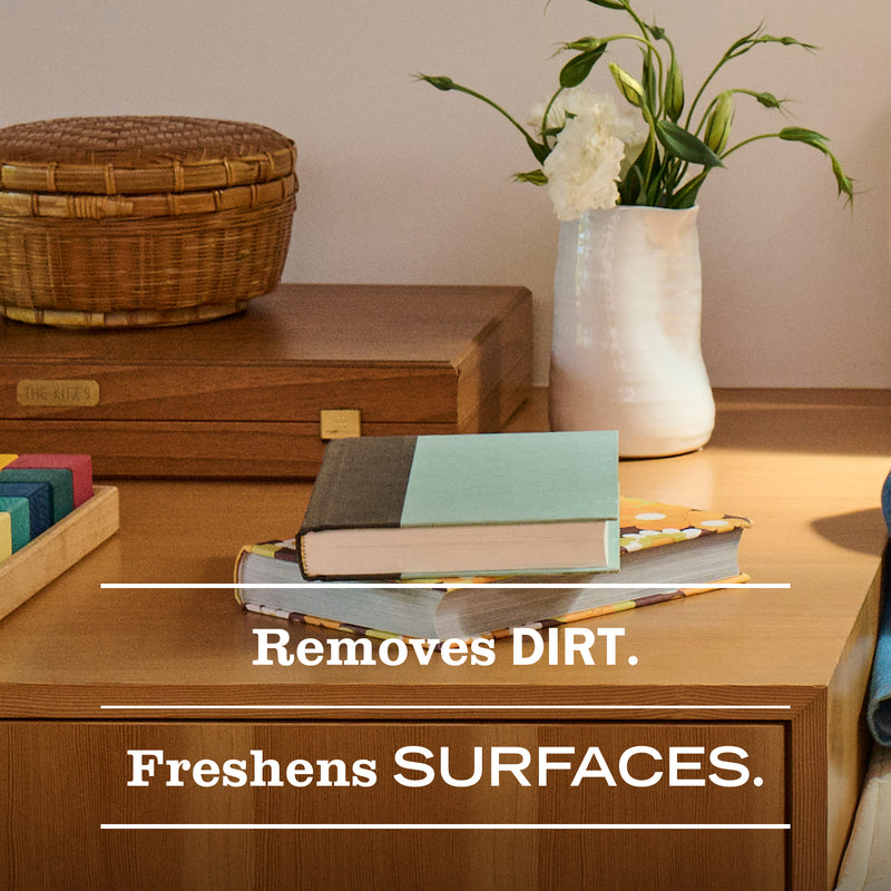 Mrs. Meyer's Fall Leaves Multi-Surface Everyday Cleaner