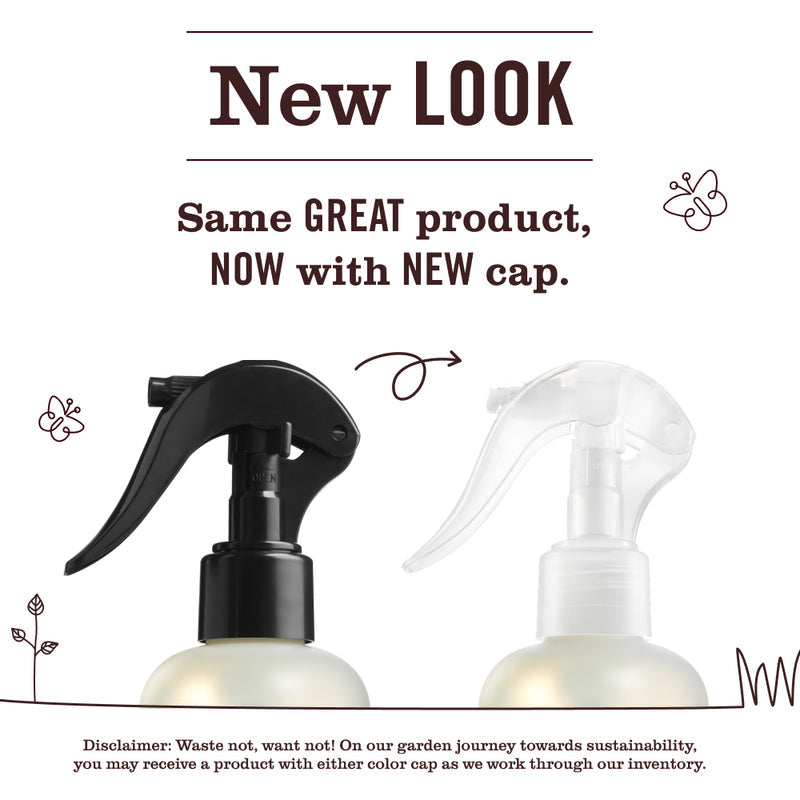 Gingerbread Room Spray: Non-Aerosolized Room Freshener | Mrs. Meyer's