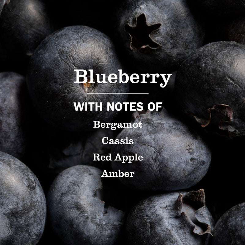 Blueberry Dish Soap